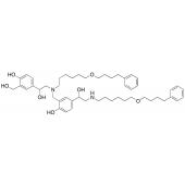  Salmeterol Dimer Impurity 