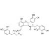  Salvianolic Acid B 