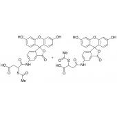  SAMSA-Fluorescein(Mixture of 