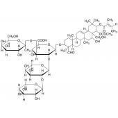  Saponin (Technical Grade) 