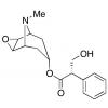  Scopolamine 