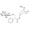  Scopolamine O--D-Glucuronide 