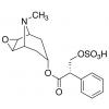  Scopolamine Sulfate 