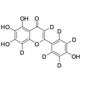  Scutellarein-d6 (major) 