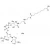  Sebacyl-CoA Sodium Salt 