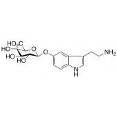  Serotonin -D-Glucuronide 