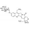  SN-38 Glucuronide 