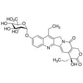  SN-38 Glucuronide 