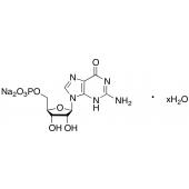  Guanosine 5'-Monophosphate 