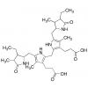  Stercobilinogen 