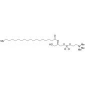  2-Stearoyl-sn-glycero-3-phos 