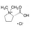  Stachydrine Chloride 