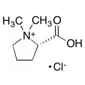  Stachydrine Chloride 