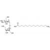  Sucrose Palmitic Acid (1:1 