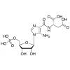  N-Succinyl-5-aminoimidazole-4- 