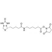  Succinimidyl-6-(biotinamido) 