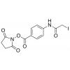  N-Succinimidyl (4-Iodoacetyl) 