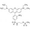  Sulfo Rhodamine 