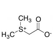  Sulfobetaine Hydrochloride 