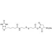  Sulfosuccinimidyl 3-[[2-(Bio 