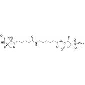  Sulfo-N-succinimidyl 6-(bioti 