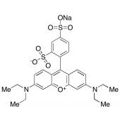  Sulforhodamine B Sodium Salt 