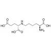  L-Saccharopine 