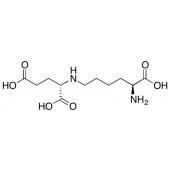  L-Saccharopine 