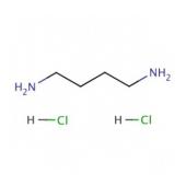  Putrescine dihydrochloride 