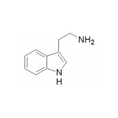  Tryptamine 