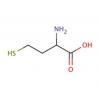  DL-Homocysteine 