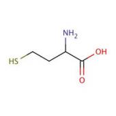  DL-Homocysteine 