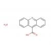  9-Acridinecarboxylic acid 