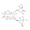  Erythromycin A dihydrate 