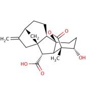  Gibberellin A4 