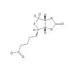  Biotin-ring-6,6-d2 