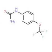  N-[4-(Trifluoromethoxy)phenyl] 