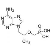  Tenofovir 