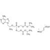  Tenofovir Disoproxil Fumarate 