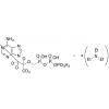  rac Tenofovir-d6 Diphosphate 