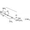  Tenofovir Phosphate Diammonia 