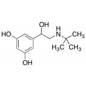  Terbutaline 