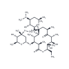  Clarithromycin 