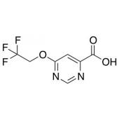  6-(2,2,2-Trifluoroethoxy) 