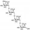  Tetragalacturonic Acid 