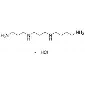  Thermospermine Tetrahydro 