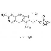  Thiamine Monophosphate 