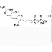  Thiamine Pyrophosphate 