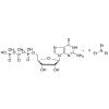  6-Thioguanosine Triphosphate 