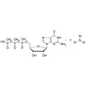  6-Thioguanosine Triphosphate 